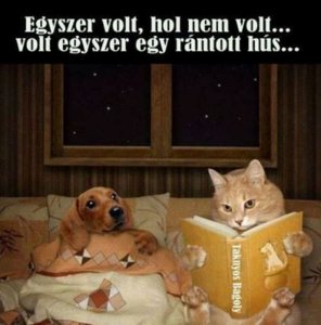 már ők is a konyhai tippeket olvassák...