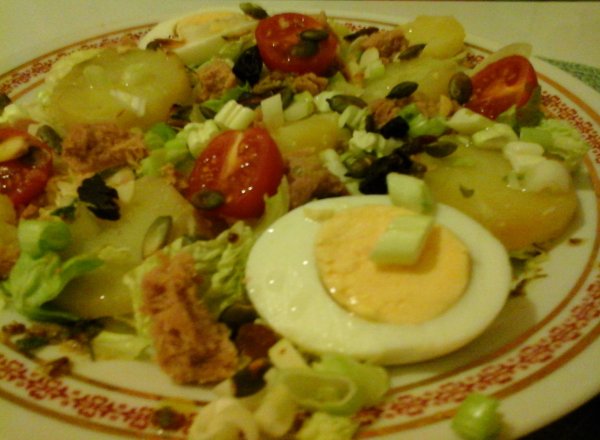 Nizzai saláta-teljeskiörlésű lepény kenyérrel-sült sajttal13