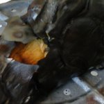 pikáns padlizsánkrém előkészítése1