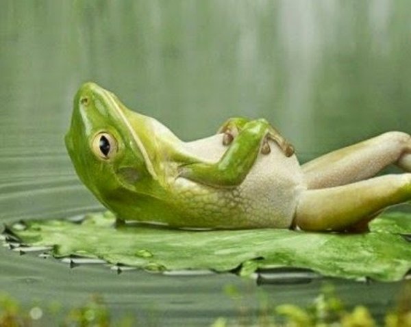 Nincs pocak csak feszes has hiszen egy jó nevetés csodákra képes