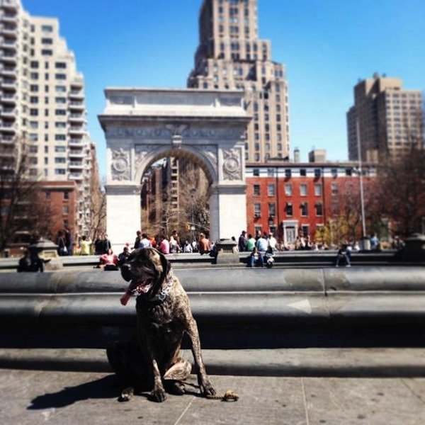 Soha nem felejtem el Gizelle-t