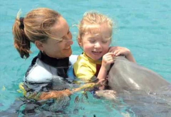 delfinterápia - Copy