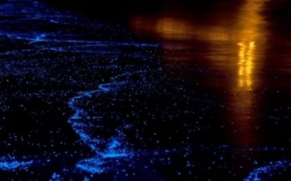 vilagito-tengerpart-7