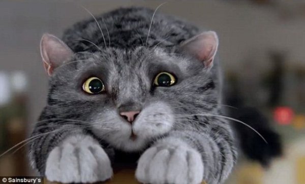 Sainsbury’s OFFICIAL Christmas Advert 2015 – Mog’s Christmas Calamity